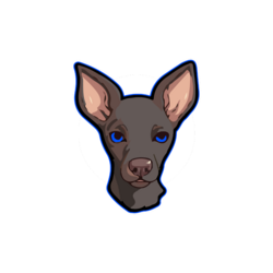 Xolo
